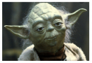 Perle di saggezza del Maestro Yoda