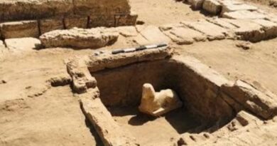 Egitto: trovata una sfinge con il volto di Claudio