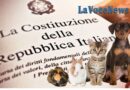 Legislazione italiana da cavernicoli: gli animali ancora considerati delle “res”