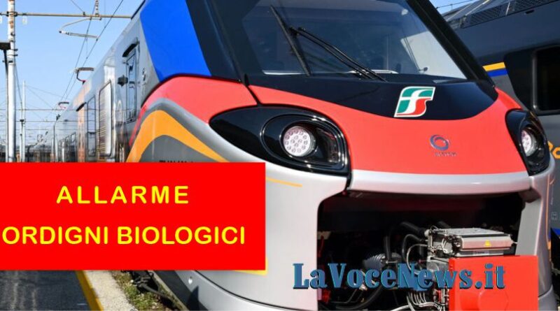 Sospensione della circolazione ferroviaria tra Pescara e Bari: allarme bomba a Trani