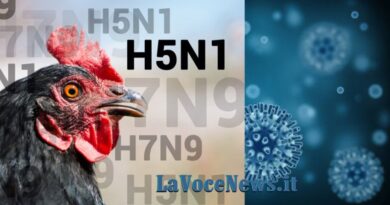 Il primo caso umano di contagio H5N1